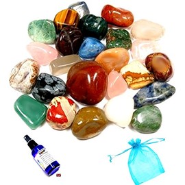 GeoFossils Mixed Bag Tumblestones 100grms with Organza Bag