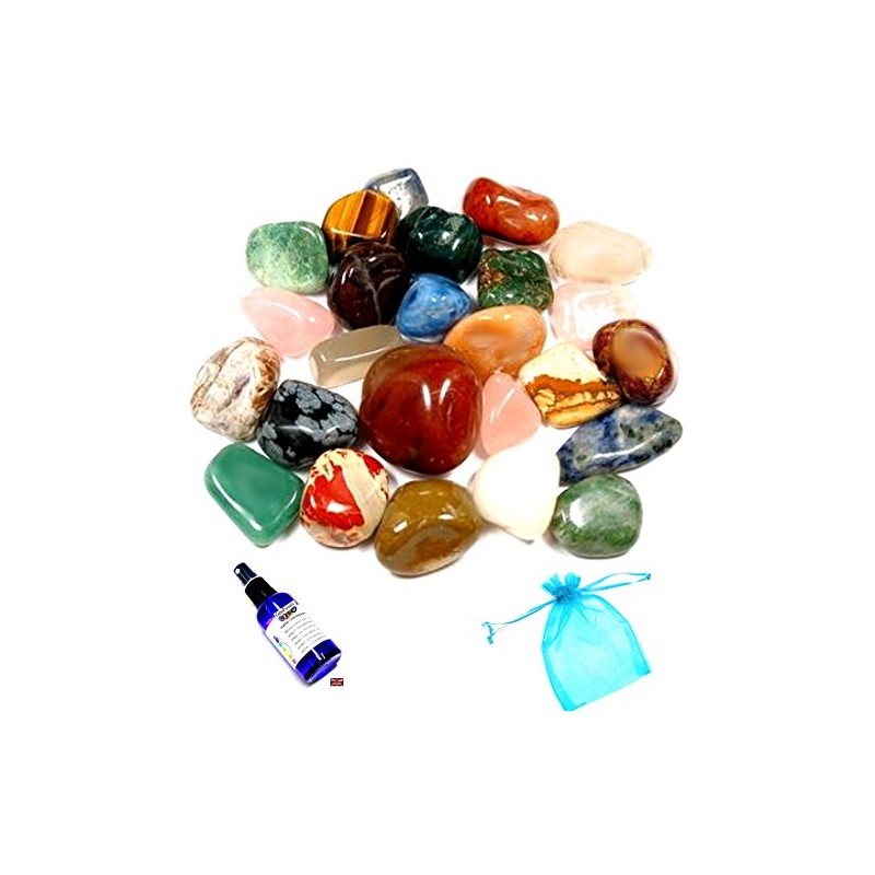 GeoFossils Mixed Bag Tumblestones 100grms with Organza Bag