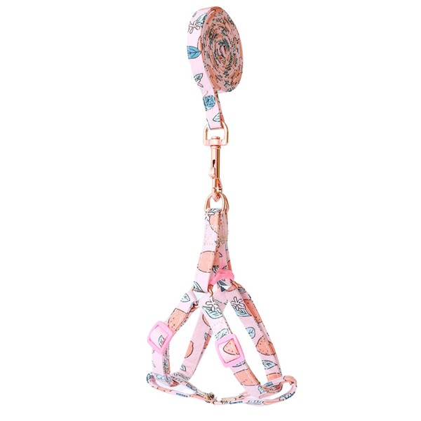 Harikaji Pet Harness with Leash, Fruit Style Dog Harness Pull