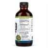 Amazing Herbs Premium Black Seed Oil - Gluten Free, Non