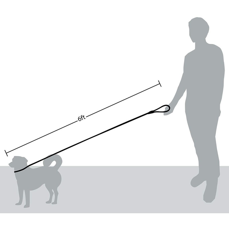 Wolfi Correa para Mascota Duradera, Correa Resistente y cómoda para
