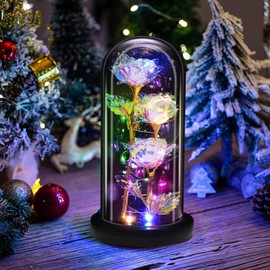 OWUYUXI 2 Piece Gifts Set for Women, Gifts for Mom Wife Women Sister Grandma Girlfriend Her, Mothers Gifts Day from Daughter Son Birthday, Light Up Rose Flowers in Glass Dome