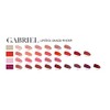 Gabriel Cosmetics, Vegan,Lipstick, Matte Spice.14 Ounce