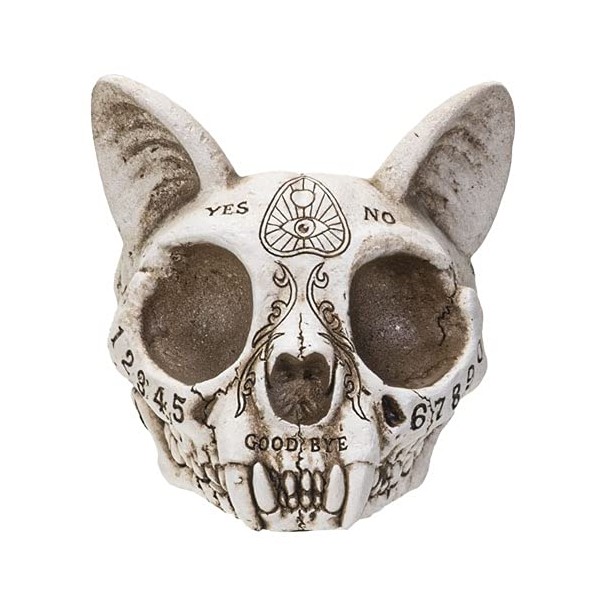 Pacific Giftware Faux Taxidermy Full Cat Skull Ashtray with Carved