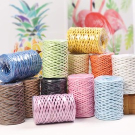 164.04ft Bind Wire Wrap Twine Colorful Wire Paper Vine,Portable Binding Wire Paper Twine for Gardening Paper Wrapped Wire Winded DIY Project