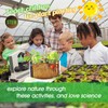 Root Viewer Kit for Kids - Grow Your Own Kids