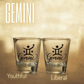 Onebttl Zodiac Sign Shot Glass Set of 2, Unique Birthday Gifts for Women, Men, Friend, Coworker, Wife, Husband- (1.5oz/45ml)- Gemini