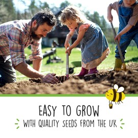 Kids' Garden Activity Set with Seeds - UK Made Kit for Nature Explorers