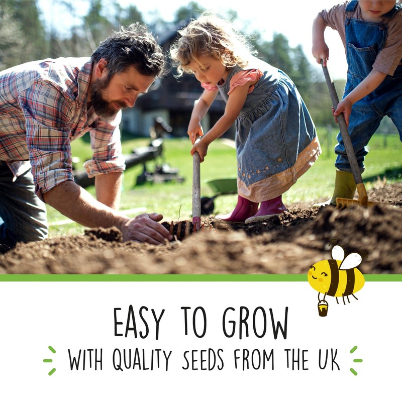 Kids' Garden Activity Set with Seeds - UK Made Kit