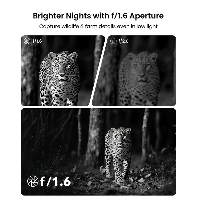 Misstech 4K UHD Solar Trail Camera, 0.1s Motion-Activated Wildlife Record