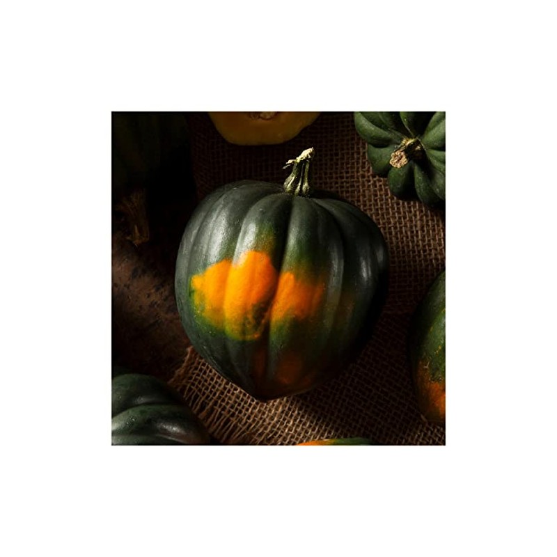 Everwilde Farms - 1 Oz Table King Acorn Winter Squash