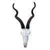 Top Brass 14 1/2" African Kudu Antelope Skull - Wall