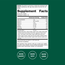 Standard Process Catalyn General Well-Being Dietary Supplement - Non-Dairy & Non-Soy - Daily Vitamins & Nutrients - 360 Tablets
