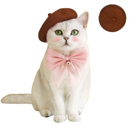 Wholesale Fashion Four Seasons Funny Customized Wool Pet Beret Hat with Accessories (Brown)