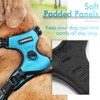 rabbitgoo Dog Harness Large Dog No Pull Pet Harness with