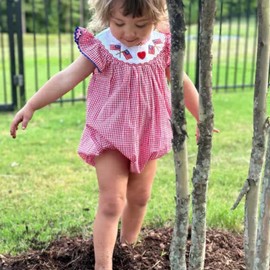 Lenjindjer Infant Baby Girl 4th Of July Outfit Plaid Smocked Flutter Sleeve Bubble Romper Flag Embroidered Summer Bodysuit (Red, 6-12 Months)