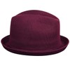Kangol Tropic Player Burgundy, Large