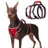 PUPTECK Escape Proof Dog Harness with Padded Handle, No Pull