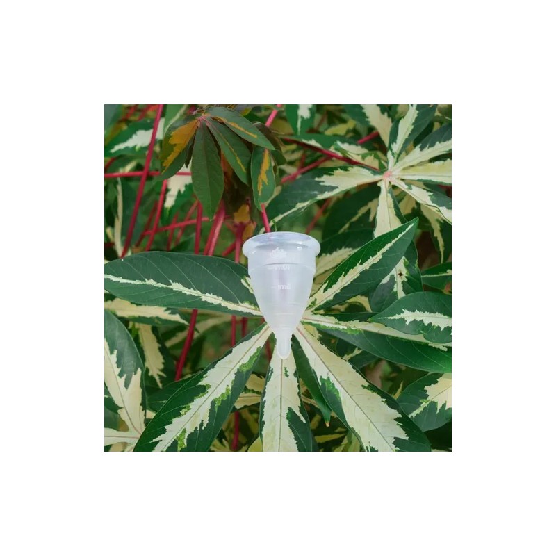 2 Copa Menstrual Angel Cup (chgde) 2 Vasos Esterilizador