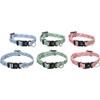 Dog Collar Puppy Sari Various Colours XXS 15-25 cm 10