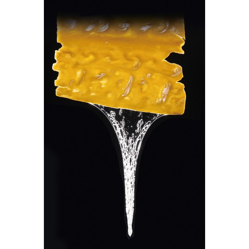 利尻と椿のPON ヘアパウダー ナチュラルブラック