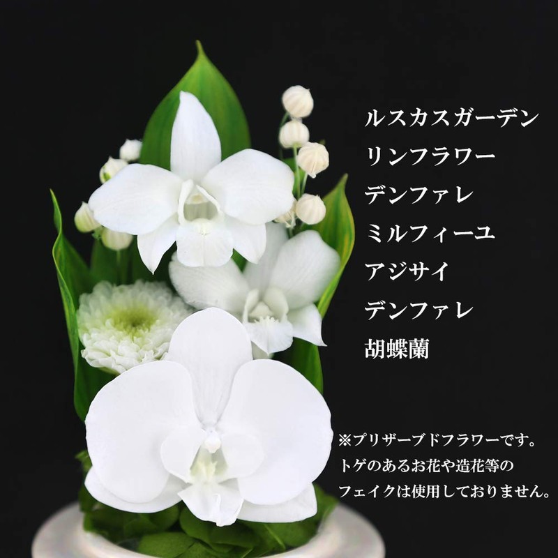 Art Four Seasons Buddha Flower (White) Mini Phalaenopsis Mini Glass