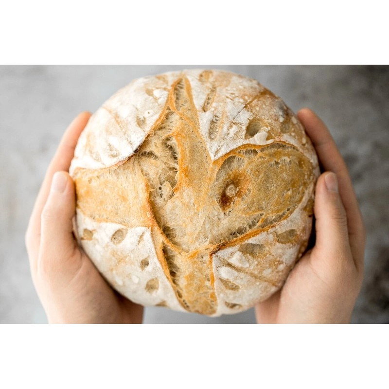 Heritage Sourdough Sourdough Starter DEHYDRATED Sour ORGANIC 150+ Year Old