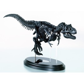 Gakken Q750763 T-Rex 1/35 Skeleton Model Kit & Real Large Poster (Recommended Age: 6+)