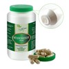 VITA IDEAL Vegan® Willow Bark 180 Capsules – Salix Alba