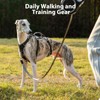Huntboo Escape Proof Harness, No Slip Dog Harness Escape Proof,