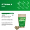 Gotu Kola Extract Capsules - High Dose - 600 mg