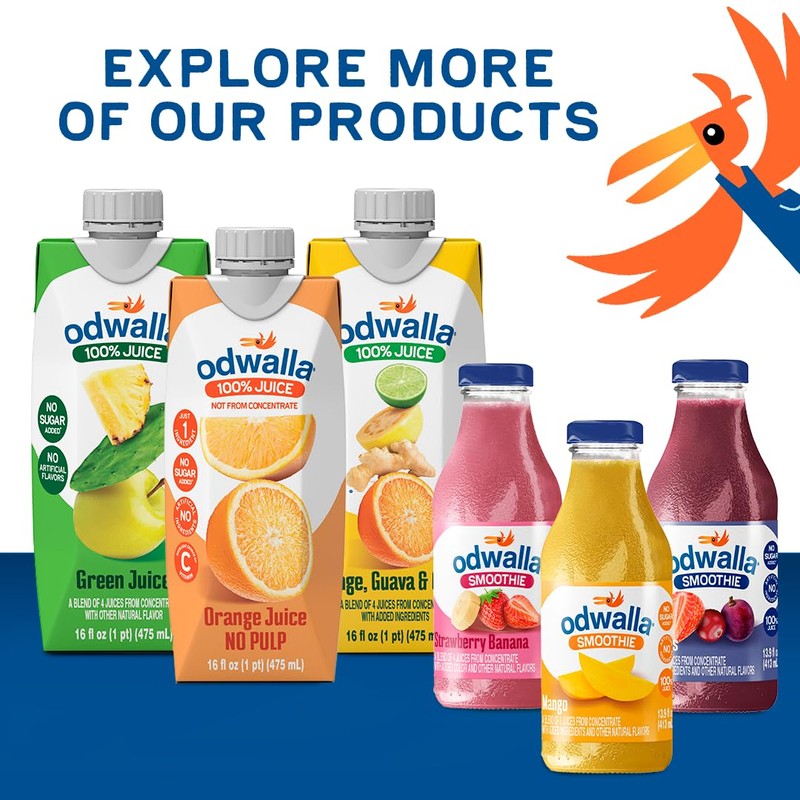 Odwalla Berries Smoothie - Fruit Smoothie Mix Ready to Drink