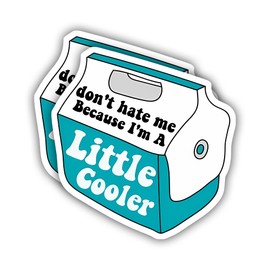 eDesign Don't Hate Me Because I'm A Little Cooler Sticker Decal Vinyl - 4 Inches - Funny Meme Sticker for Car Truck Van Window Bumper Laptop Tablet Cup Tumbler Waterbottle Any Smooth Surface 2-Pack