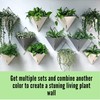 LaLaGreen Succulent Wall Planters - 2 Pack, 12 Inch Large