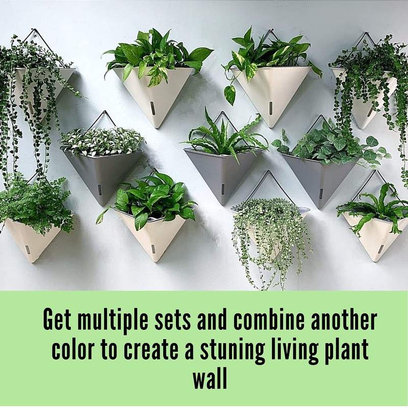 LaLaGreen Succulent Wall Planters - 2 Pack, 12 Inch Large