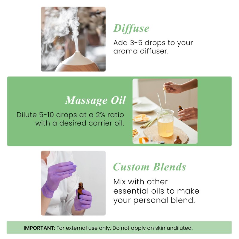 Handcraft Blends Basil Essential Oil – 1 Fl Oz –