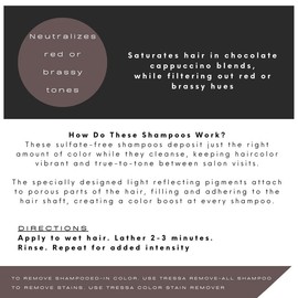 Watercolors Color Depositing Shampoo, Semi Permanent Hair Color 8.5 oz - MOCHA DRENCH (2 PACK)