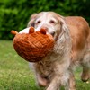 Ancol Play Time For Dogs Plush Squeaky Cuddle Quilted Woodland