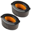 Panari 951-10794 Air Filter 2 Pack for Troy-Bilt 208cc MTD