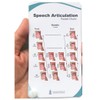 Speech articulation Anatomy Pocket Charts