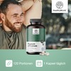 HealthyWorld Pygeum - African Plum Extract (Pygeum Africanum) - 100mg