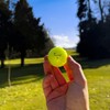 Trust Golf Ball Panther | Engineered to Break 100 |