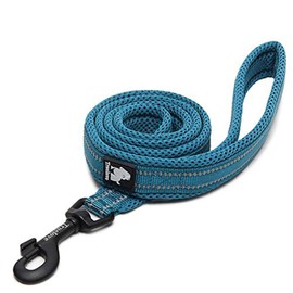 TRUE LOVE Reflective Dog Leash Puppy Walking Lead, Padded Pet Chain Rope，Length 200cm Truelove TLL2111(Blue,L)