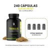 Tribulus Terrestris Precursor D Testosterona 240 Cáps. B Life