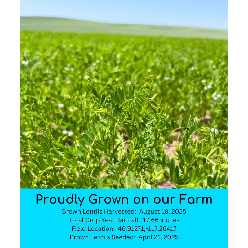 Palouse Brand Certified Glyphosate Residue Free Small Brown Dry Lentils