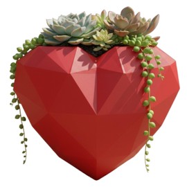 Heart-Shaped Wall Planter, Self-Watering Pot for Indoor Plants