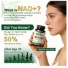 Suplemento Nad 1500 Resveratrol Urolitina Coq10 Quercetina Plus Energía Celular