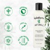 Hydratherma Naturals Moisturizing Boosting Shampoo, 8.0 fl. oz.