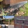 IME Rodent Proofing Wire Mesh Rat Mesh 6m x 100mm