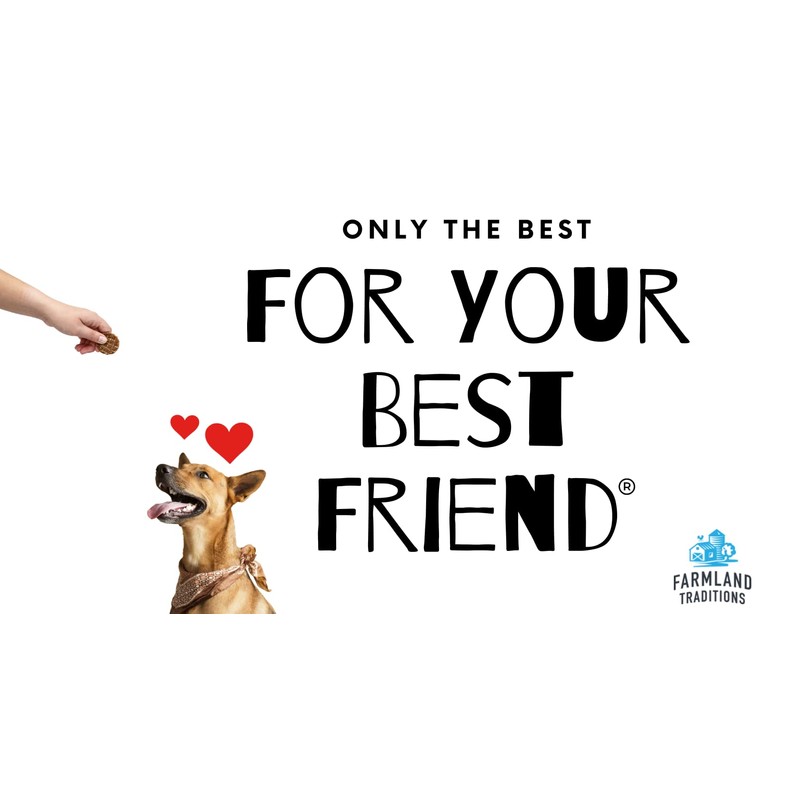 Farmland Traditions Dogs Love Chicken Jerky Dog Treats, Premium Two-Ingredient